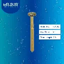 Donut-FG-Gold-Standard-Bur-909_42.webp