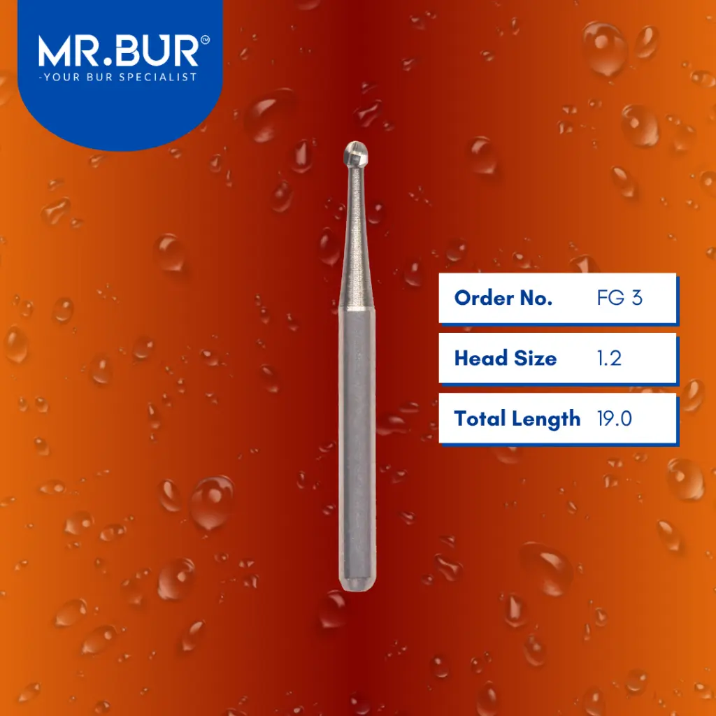 Carbide-Round-Carbide-19mm-FG 3.webp