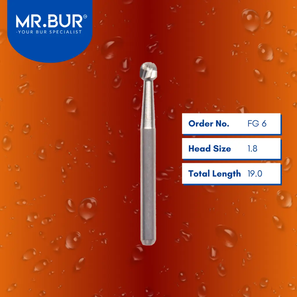 Carbide-Round-Carbide-19mm-FG 6.webp